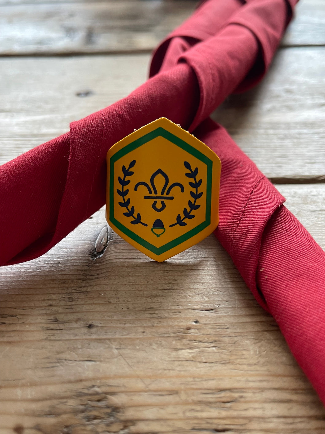 Squirrel Scout Chief Scout Award. Leather Scout Woggle UK.